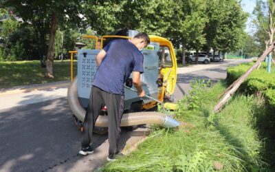 Three-Wheeled Leaf Collection Vehicle BY-T6